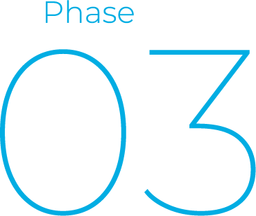 Phase 03