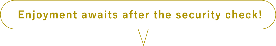 Enjoyment awaits after the security check!