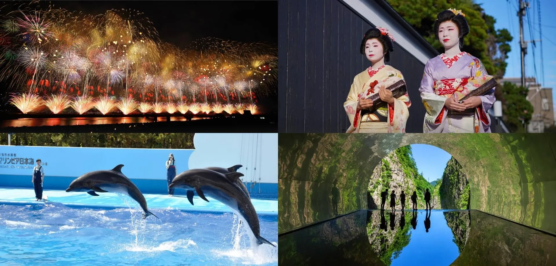 花火に芸妓、水族館、アート作品など。観光地として様々な顔をもつ、新潟県の魅力に迫るインタビュー。