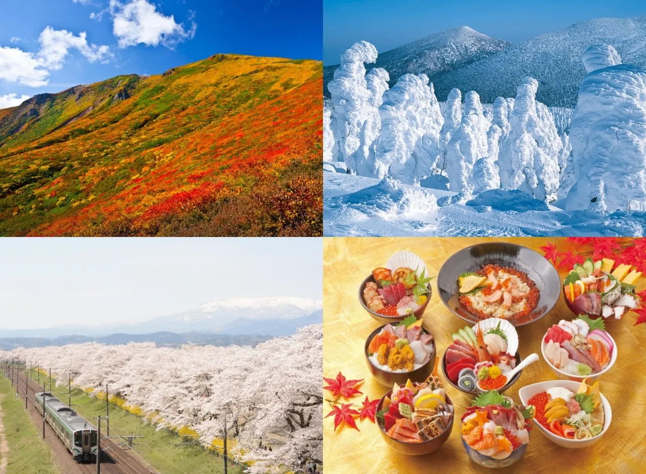 東北・宮城ならではの体験、絶景、グルメなど、多岐に渡る魅力について、インタビュー内でたっぷりとお聞きします！