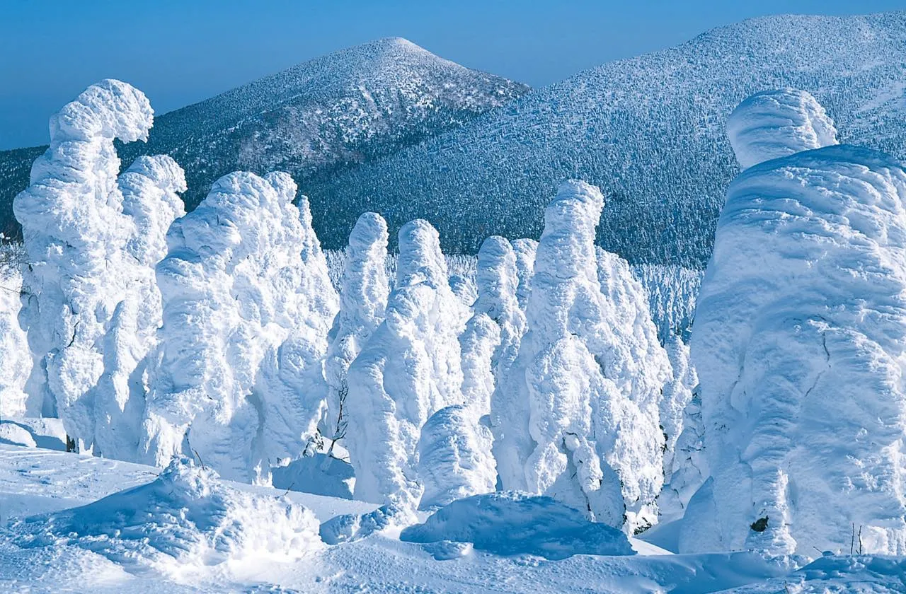 針葉樹のアオモリトドマツの枝や葉に着雪・着氷した樹氷。宮城蔵王では、雪上車「ワイルドモンスター号」に乗り樹氷原を巡るツアーも人気。鑑賞スポットでは雪上車を降り、巨大な樹氷の迫力を間近で感じられる。