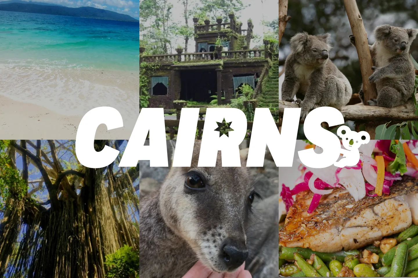 オーストラリア・ケアンズで大自然を満喫！人気名所・観光スポット14選！