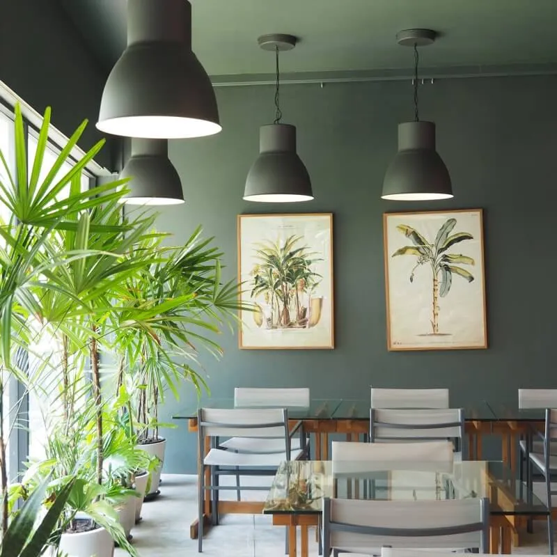 SOMEDAY EVERYDAY サムデイ・エブリデイ