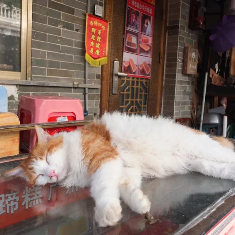 荔枝湾 リーズーワン