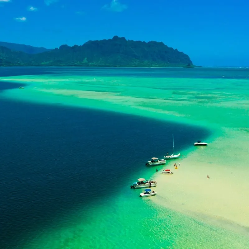 キャプテンブルースの天国の海（サンドバー）