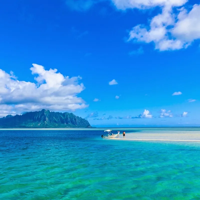 キャプテンブルースの天国の海（サンドバー）