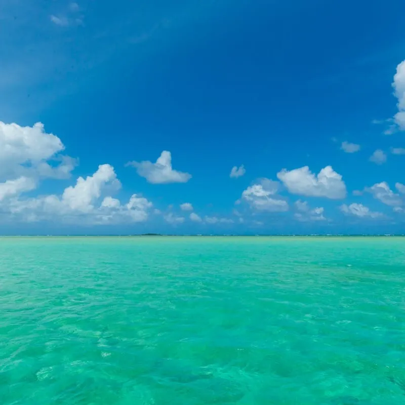 キャプテンブルースの天国の海（サンドバー）