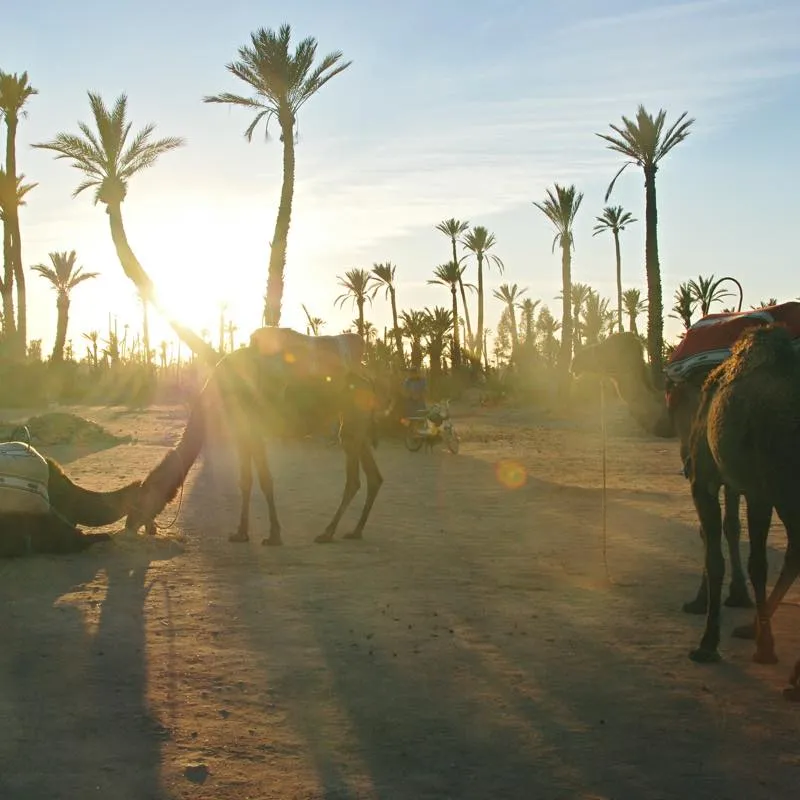モロッコ〜ジブラルタル海峡を超え、砂漠を目指す旅〜