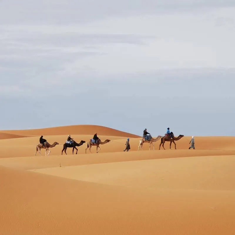 モロッコ〜ジブラルタル海峡を超え、砂漠を目指す旅〜