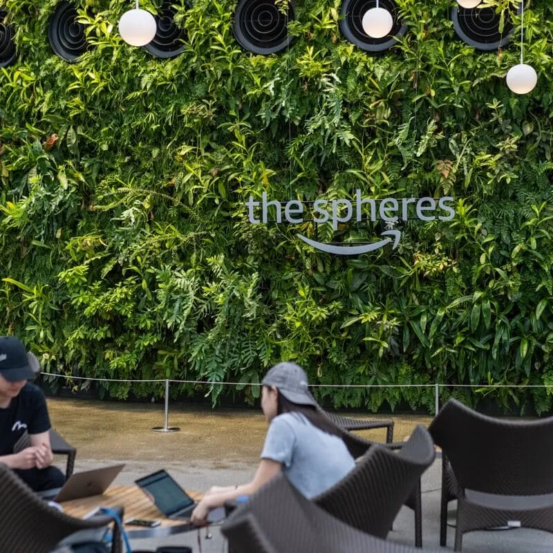 amazon the spheres アマゾン・ザ・スフィアズ