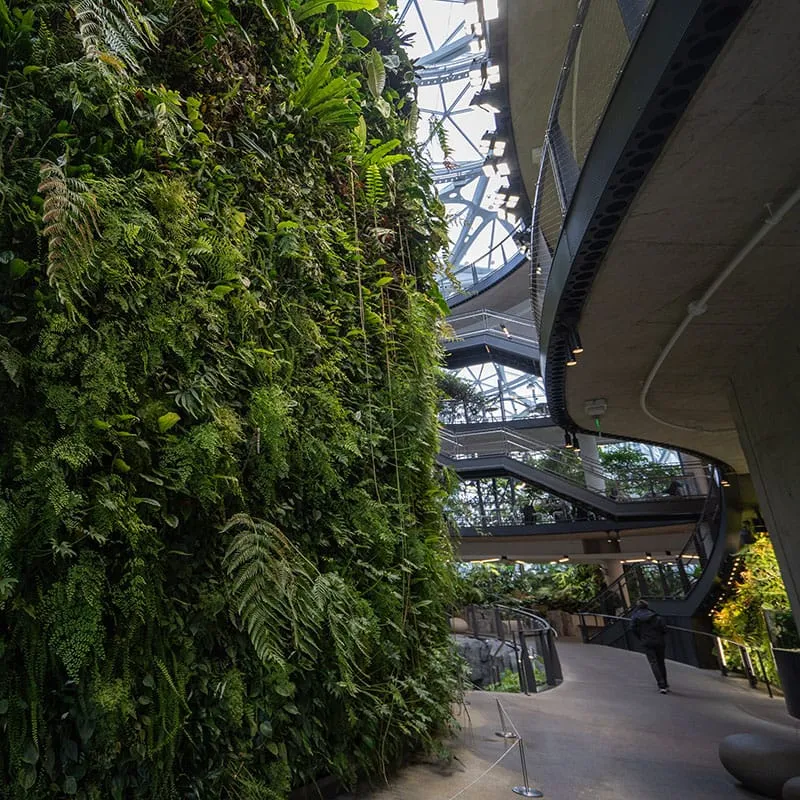 amazon the spheres アマゾン・ザ・スフィアズ