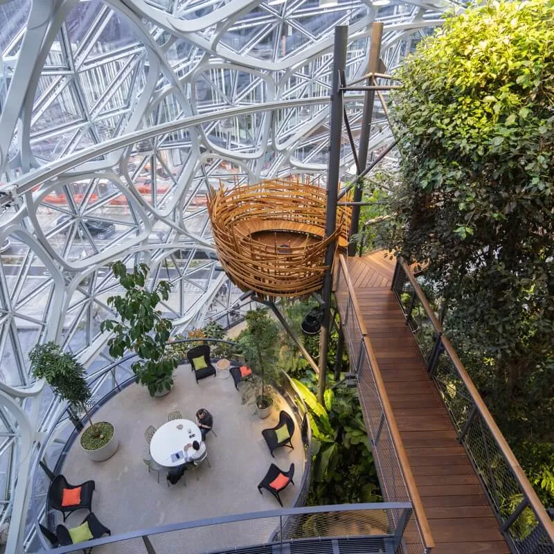 amazon the spheres アマゾン・ザ・スフィアズ