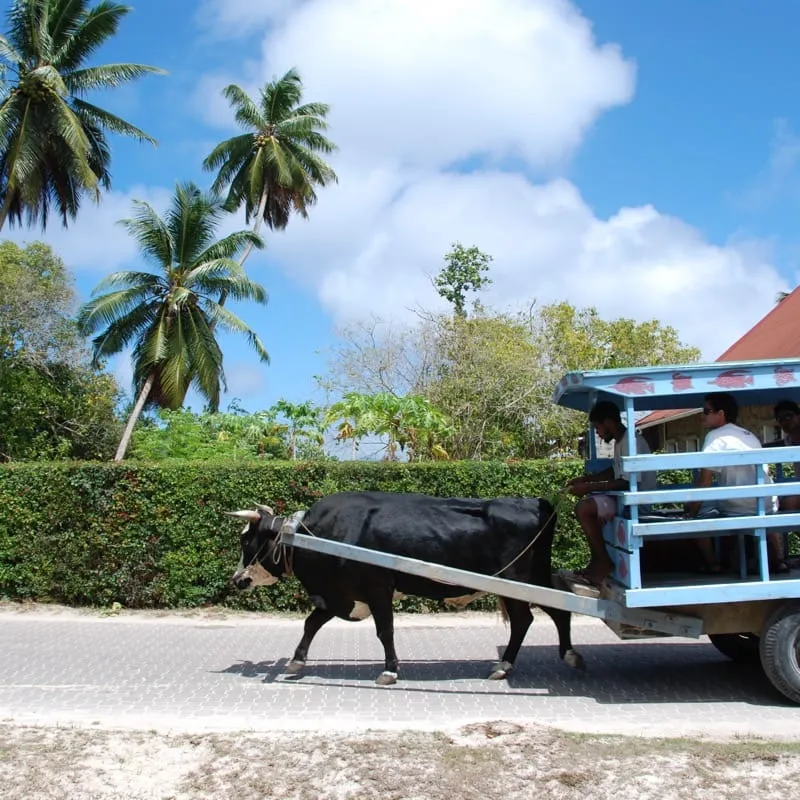 Seychelles 地球上最後の楽園、セーシェルへ