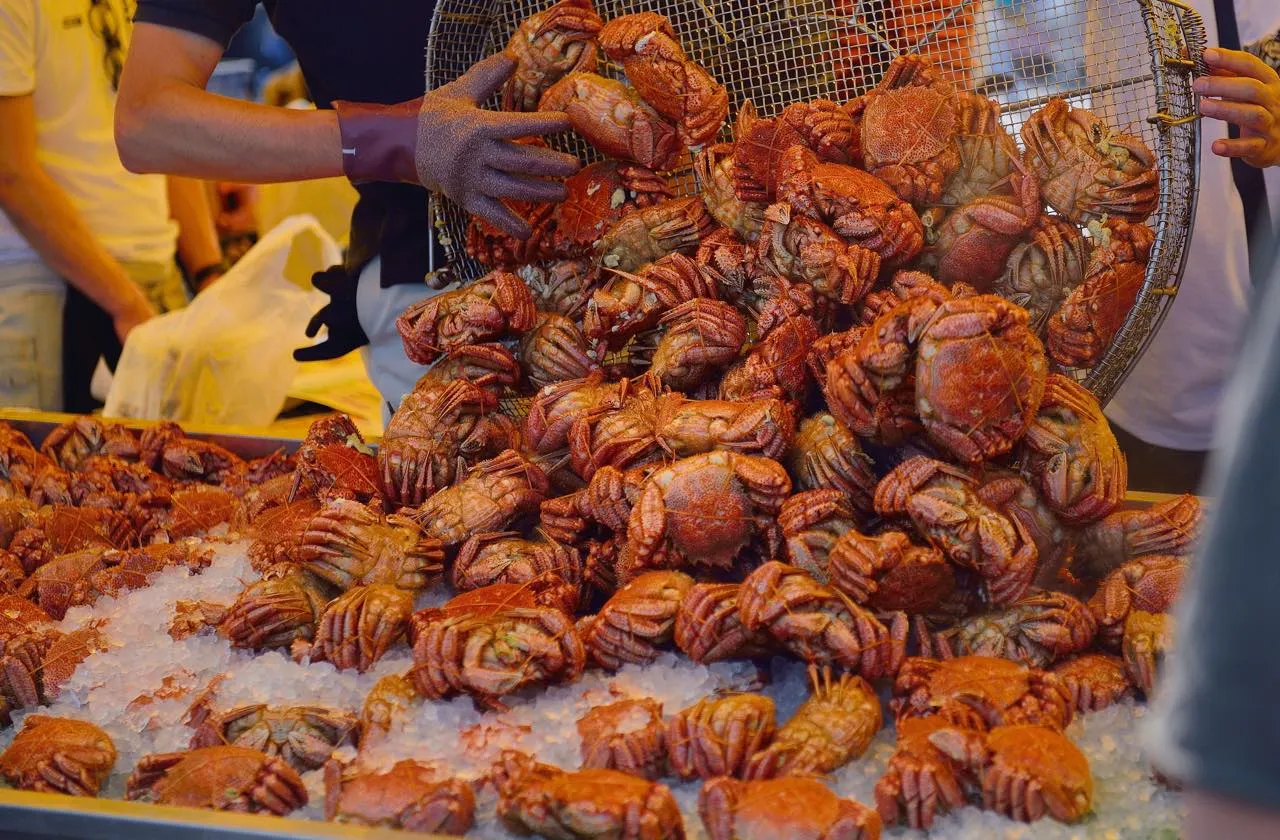 毎年3月末から4月末に水揚げされる毛ガニのことを「流氷明け毛ガニ」と呼ぶ。地元では春の訪れを告げるご馳走だ。
