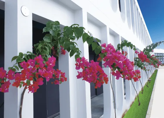 ホテルフィオマーレ宮古島