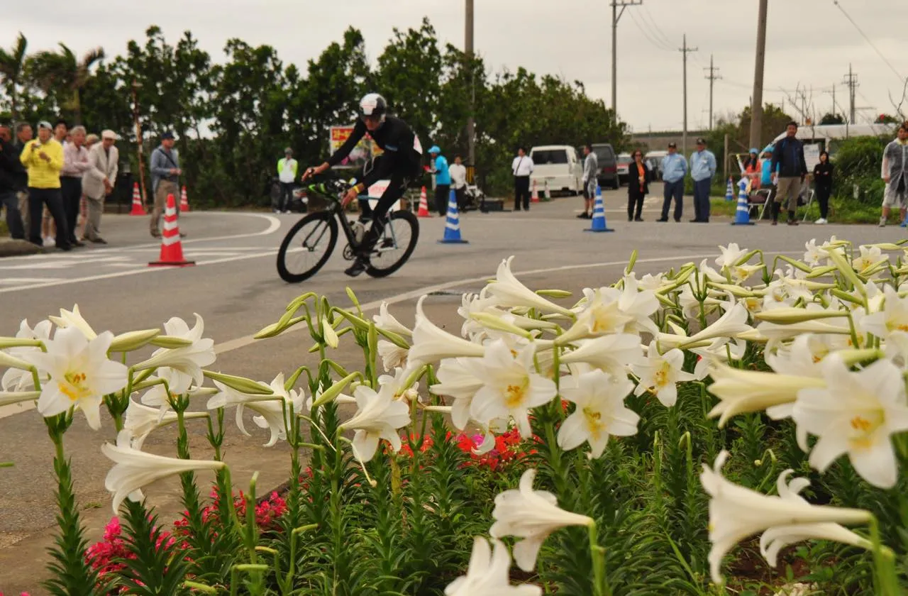 甘い香りを漂わせて自生するテッポウユリの横をバイクで駆け抜けるトライアスロン選手たち。