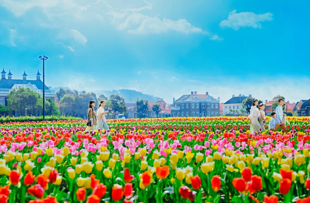 創業以来毎年開催の「チューリップ祭り～4/10」は今年も100万本のチューリップが咲き誇ります。