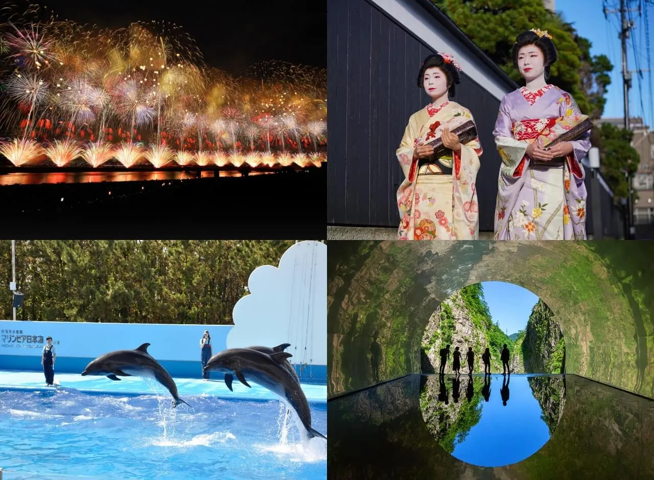 花火に芸妓、水族館、アート作品など。観光地として様々な顔をもつ、新潟県の魅力に迫るインタビュー。