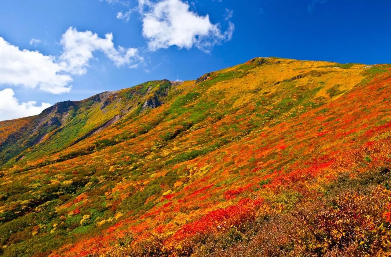 登山道から眺めた栗駒山の絨毯のような紅葉（写真左）どの季節も美しいが、やはり秋は格別とのこと。