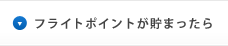 フライトポイントが貯まったら