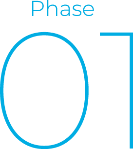 Phase 01