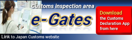 e-gates