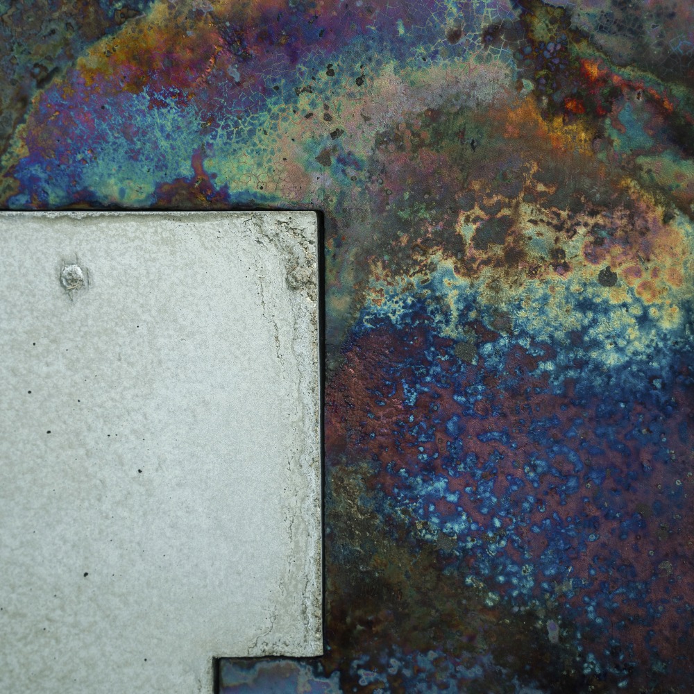 橋本知成 / TOMONARI HASHIMOTO