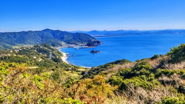 Wakayama Transportation Guide: Get There & Around