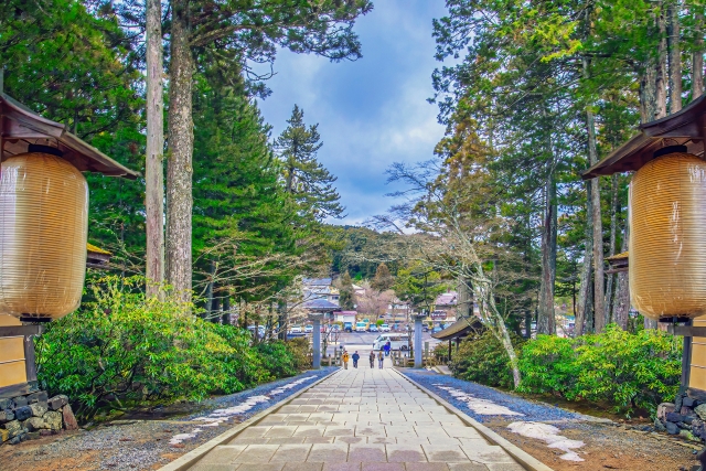 Wakayama Food: 2026 Top 10 Must-try in Wakayama