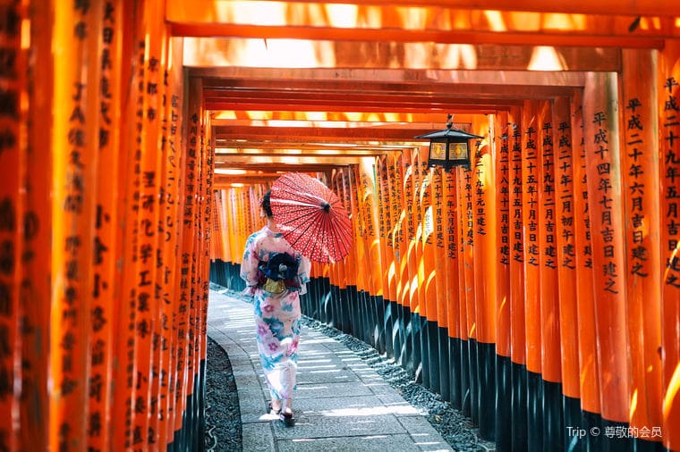 1泊2日で京都へ！清水寺・嵐山・金閣寺を回るモデルコース
