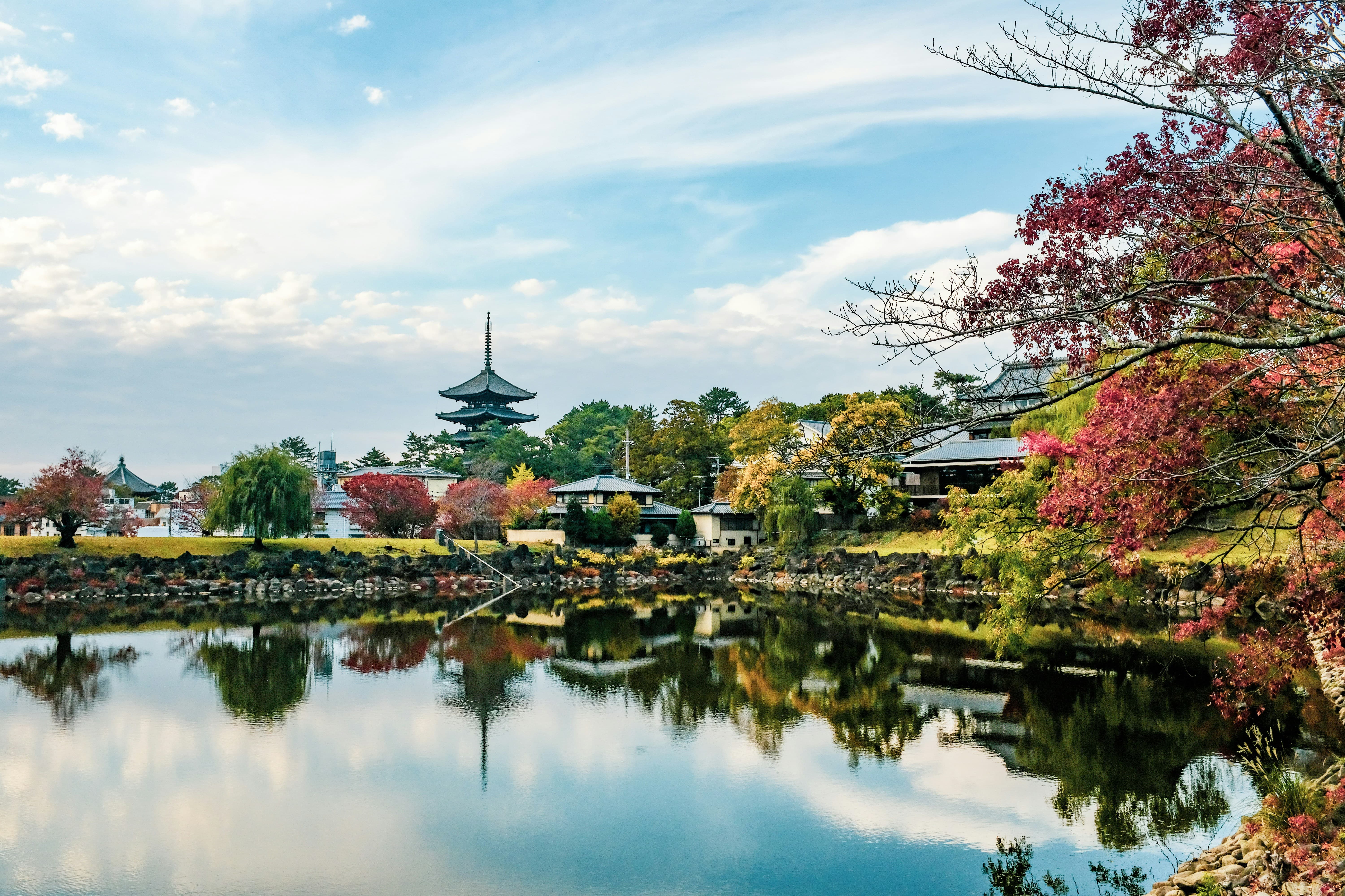 Get to Nara from Kansai Airport Guide: HARUKA, Bus & Car Rental