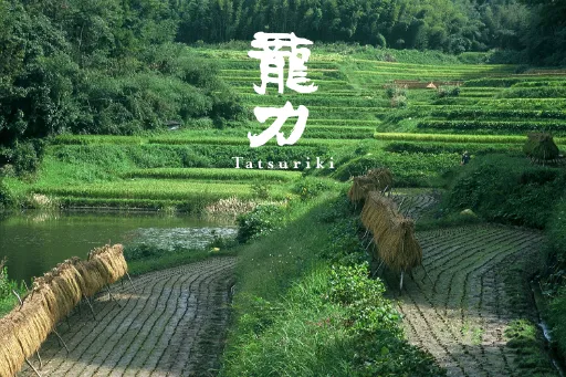 龍力（本田商店）特別試飲會公告