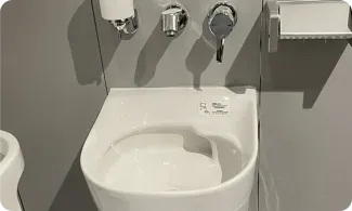 Ostomate toilet