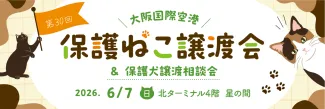保護猫譲渡会6月