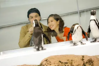 Kyoto Attractions | Kyoto Aquarium