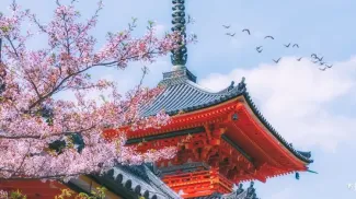 Kyoto
