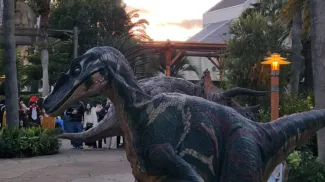 Universal Studios Japan Tickets & Visiting Guide