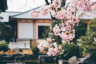 Sanjusangen-do