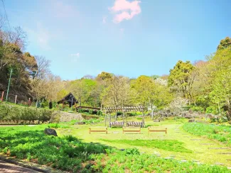 Kobe Itinerary 4 Days: What to Do and See in Kobe