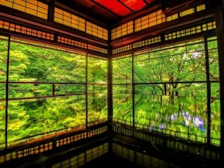 京都 観光11