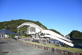 和歌山 観光12