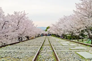 京都 観光13