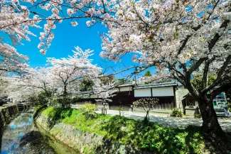京都 観光18