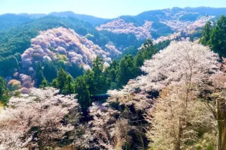 奈良　観光19