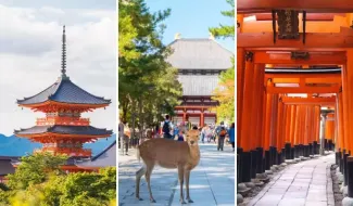 Nara Day Tour: Itineraries, Osaka/Kyoto Transport & Attractions