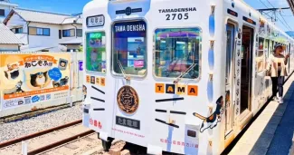 Wakayama Transportation Guide: Get There & Around