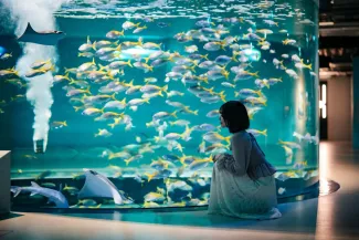 2026 Kobe Attractions Guide: Attractions, Transportation & Day Trips