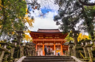 What to See & Do in Nara 2026 - Top 5 Nara Attractions