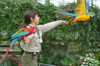 2026 Kobe Attractions Guide: Attractions, Transportation & Day Trips