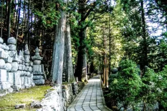Wakayama Travel Guide: 18 Best Things to Do & Itinerary